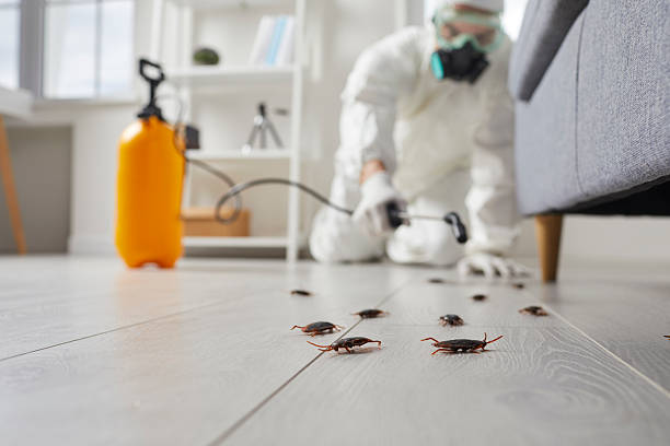 Post-Treatment Bed Bug Interceptor Monitoring in Elkhart